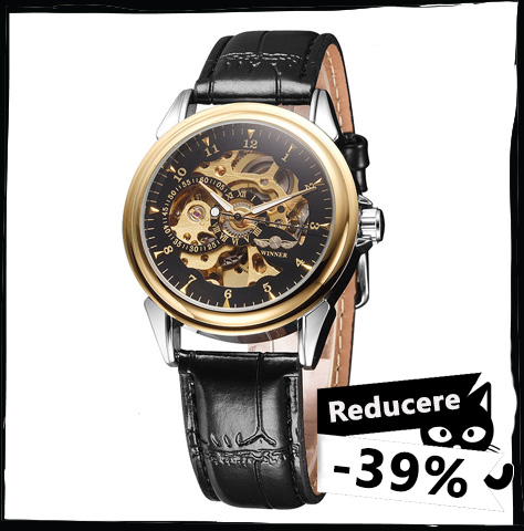 Ceas Automatic Winner Enigma