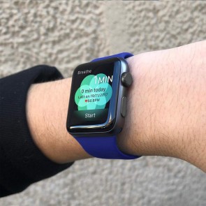 Bratara silicon compatibila Apple Watch 1/2/3/4, 38/40 mm, S/M, 8006ACS-albastru